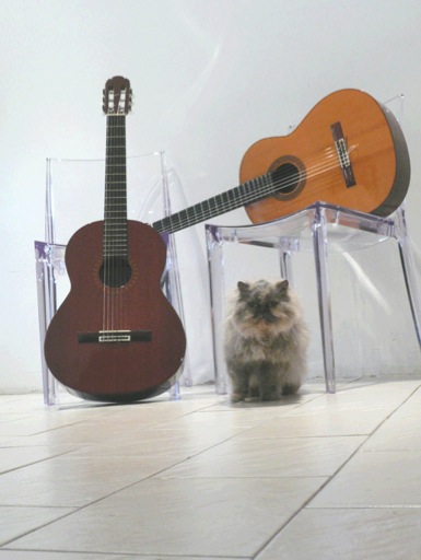 duo Delrieu Pagès 2